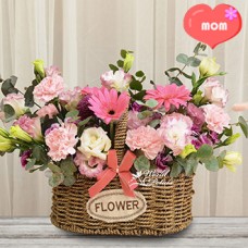 Esteem Rosy (Normal)